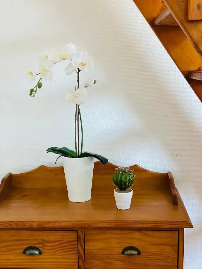Appartement Le Blue - Coeur De Ville Rennes